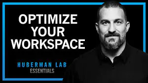 Optimize Your Workspace for Focus and Productivity