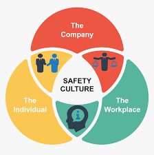 Safety Culture for Teams Bundles