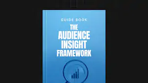 The Audience Insight Framework