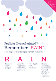 The RAIN Mindfulness Frameworks