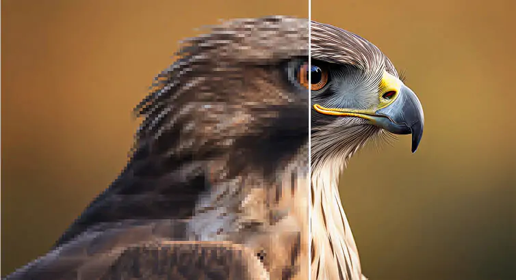 IMG image upscaler: Free AI image upscaling